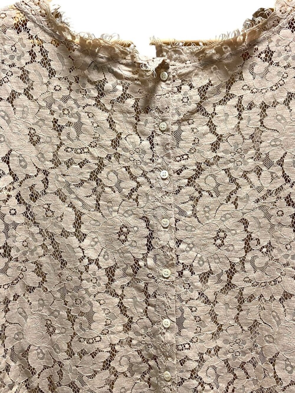 Joie Allover Lace Blouse Beige Size S Romantic Coquette Spring Neutral Bohemian - Picture 10 of 13